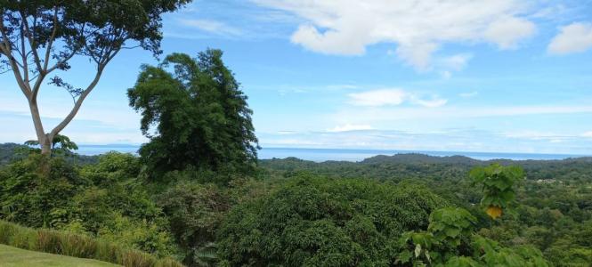 ojochal , Ojochal Puerto Cortés Osa, Puntarenas 00001, 哥斯達尼加