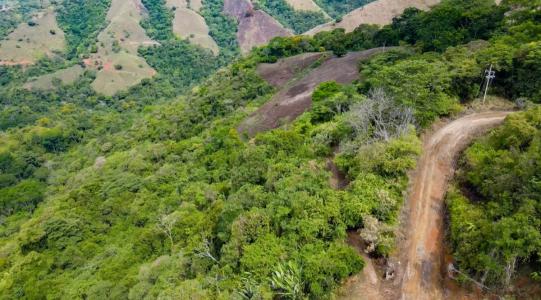 Ojochal Puerto Cortés Osa, Puntarenas 00001, 哥斯达黎加