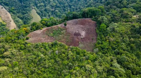 Ojochal Puerto Cortés Osa, Puntarenas 00001, 哥斯达黎加