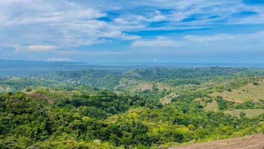 Ojochal Puerto Cortés Osa, Puntarenas 00001, 哥斯达黎加