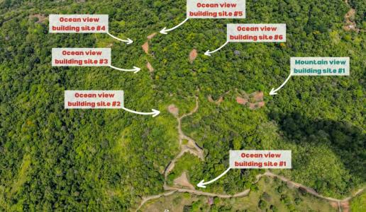 Ojochal Puerto Cortés Osa, Puntarenas 00001, Costa Rica