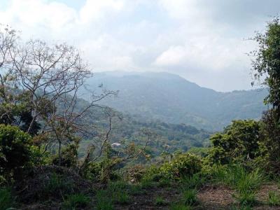 San Isidro Del General Pérez Zeledón, San José 00001, Costa Rica