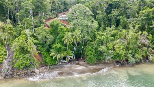Mogos Sierpe Osa, Puntarenas 00001, Costa Rica
