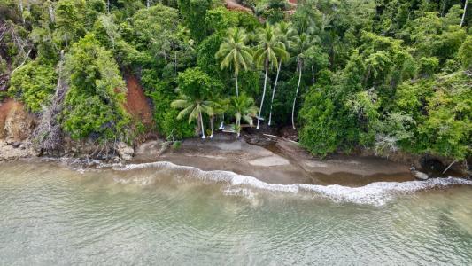Mogos Sierpe Osa, Puntarenas 00001, Costa Rica