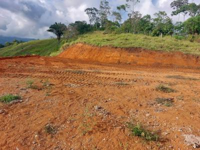 San Isidro Del General Pérez Zeledón, San José 00001, Costa Rica
