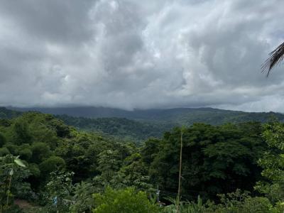 Platanillo Barú Pérez Zeledón, San José 00001, Costa Rica