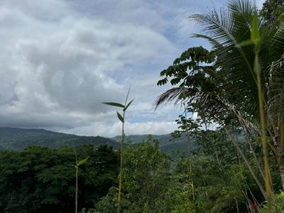 Platanillo Barú Pérez Zeledón, San José 00001, Costa Rica