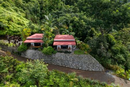 Uvita Bahía Ballena Osa, Puntarenas 00001, 哥斯达黎加