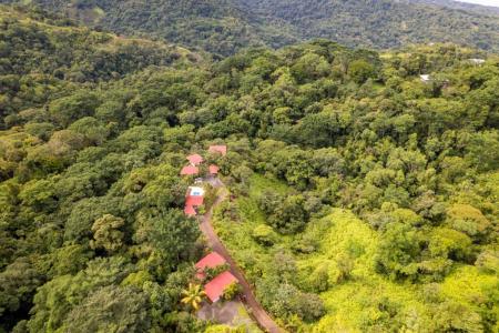 Uvita Bahía Ballena Osa, Puntarenas 00001, 哥斯达黎加