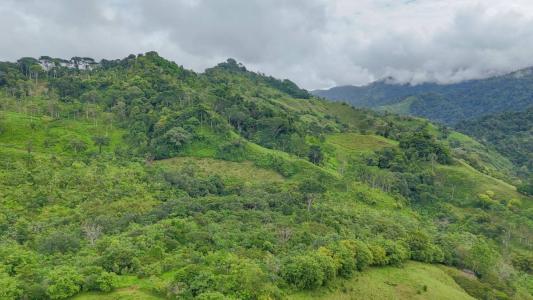 Chontales Barú Pérez Zeledón, San José 00001, Costa Rica