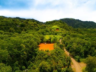 Península De Osa Osa, Puntarenas 00001, Costa Rica