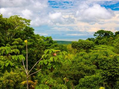 Península De Osa Osa, Puntarenas 00001, Costa Rica
