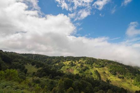 El Jardín Dota, San José 11702, Costa Rica