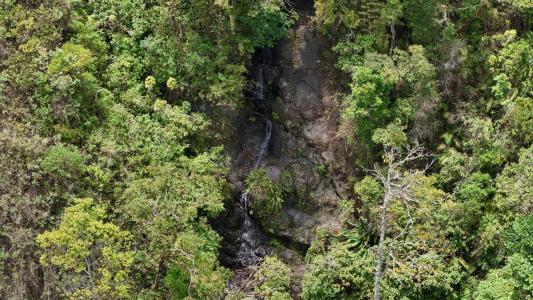 El Jardín Dota, San José 11702, Costa Rica