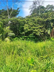 Cahuita Talamanca, Limón 70403, Costa Rica