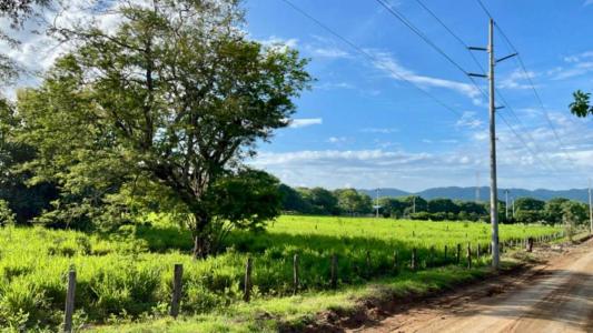 Tempate Santa Cruz, Guanacaste 00001, 哥斯達尼加
