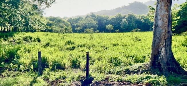 Tempate Santa Cruz, Guanacaste 00001, 哥斯達尼加