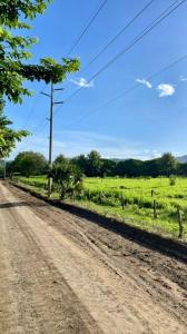 Tempate Santa Cruz, Guanacaste 00001, 哥斯達尼加