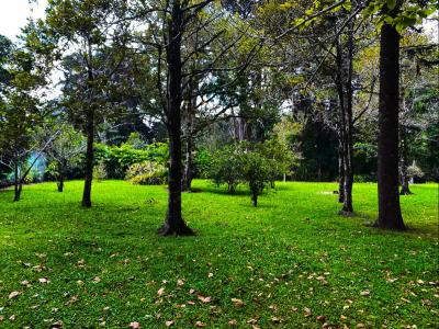Ángeles San Rafael, Heredia 40504, Costa Rica