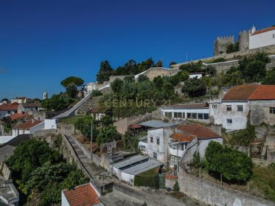 Montemor O Velho, Coimbra 3140-264, Portekiz