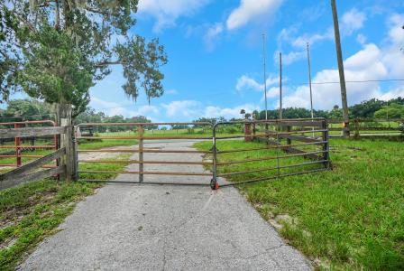 11635 SE Highway 42, Weirsdale, 佛羅里達州 32195, 美國