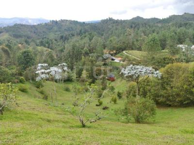 El Retiro, Antioquia 00001, Kolumbia