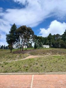 Sopo, Cundinamarca 250240, Colômbia