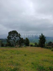 Sopo, Cundinamarca 250240, Colômbia