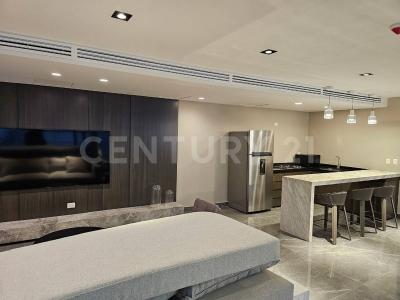 Santa Catarina, Nuevo León 66196, Mexique