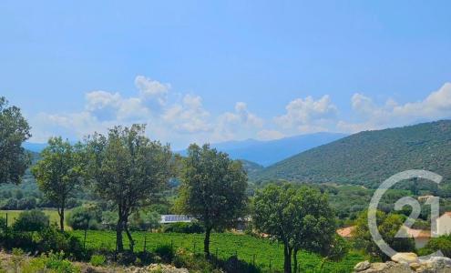 Oletta, Corse 20232, France
