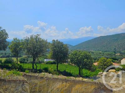 Oletta, Corse 20232, France