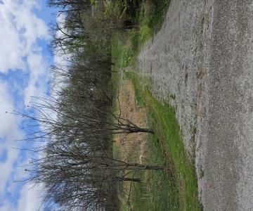 1716 D St., Hannibal, Missouri 63401, USA