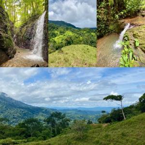 Tres Ríos Puerto Cortés Osa, Puntarenas 00001, Costa Rica