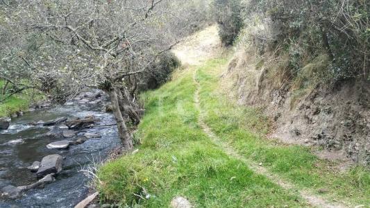 Carmen De Carupa, Cundinamarca 00001, Colombia