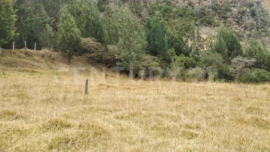 Carmen De Carupa, Cundinamarca 00001, Colombia
