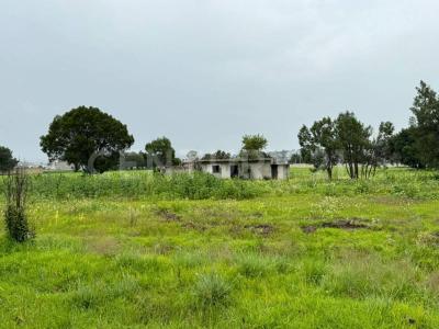 10 de mayo ,, Apizaco, Tlaxcala 90402, Mexico