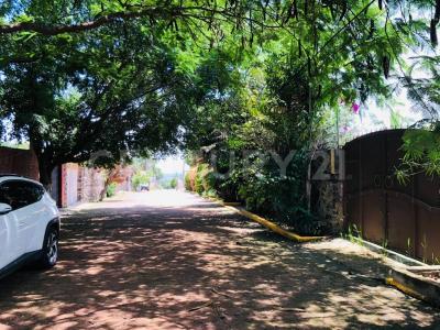 Tabachín 10,, Yautepec, Morelos 62738, México