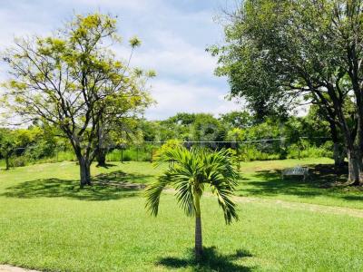 Tabachín 10,, Yautepec, Morelos 62738, México