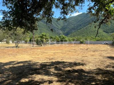 Monterrey, Nuevo León 64990, Mexico