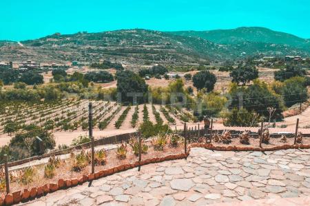 manzana 14 lote 42,, Tecate, 下加利福尼亚州 21530, 墨西哥