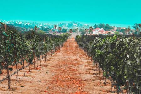 manzana 14 lote 42,, Tecate, 下加利福尼亚州 21530, 墨西哥