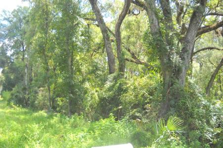 580 NE 597th Street, Old Town, Florida 32680