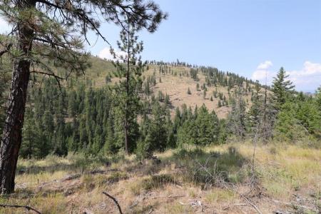 NHN Tract 1C E. Fork Combest Creek Road, Plains, 蒙大拿州 59859, 美国