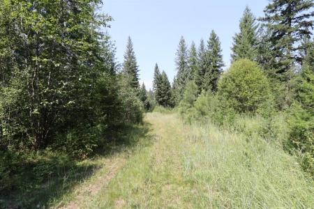 NHN Tract 1C E. Fork Combest Creek Road, Plains, 蒙大拿州 59859, 美国