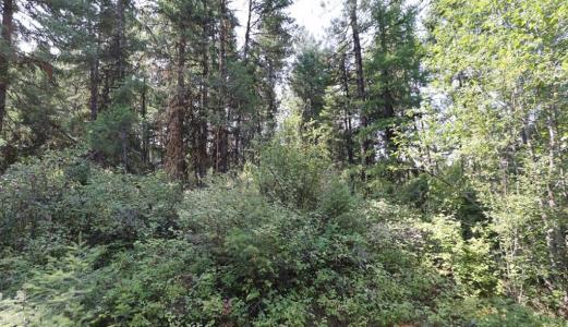 NHN Tract 1C E. Fork Combest Creek Road, Plains, 蒙大拿州 59859, 美国