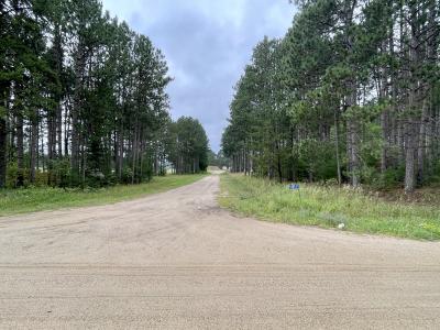 Vagabond Loop, Bemidji, 明尼蘇達州 56601, 美國