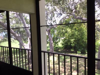 1375 Doolittle Lane Unit 201, Dunedin, Florida 34698, USA