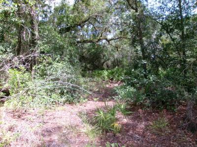 0 South shore Dr, Lake Wales, Флорида 33898, Соединенные Штаты