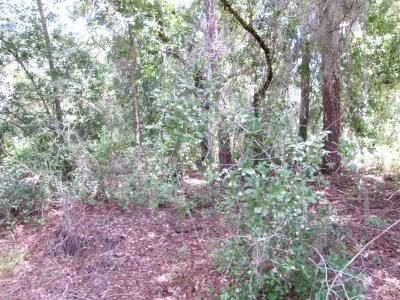0 South shore Dr, Lake Wales, Флорида 33898, Соединенные Штаты