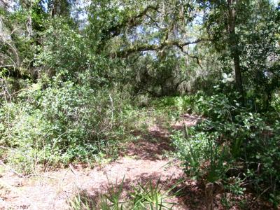 0 South shore Dr, Lake Wales, Флорида 33898, Соединенные Штаты